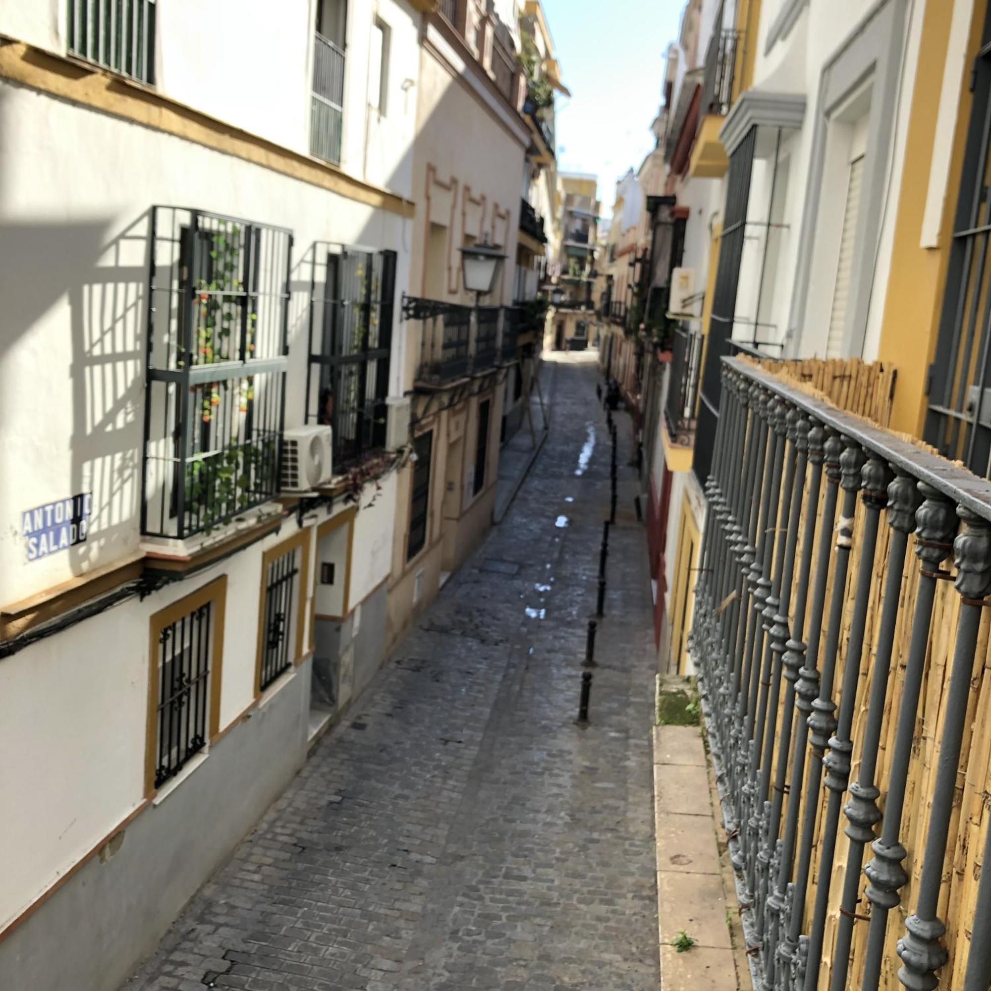 Apartamentos Alfaqueque B 塞维利亚 外观 照片